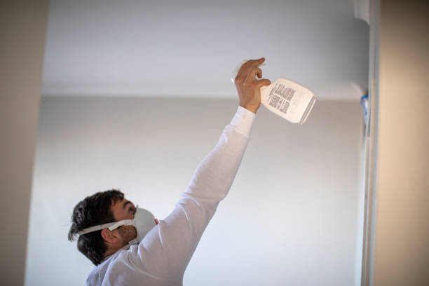 Best Mold Removal Specialists  in New Holland, PA
